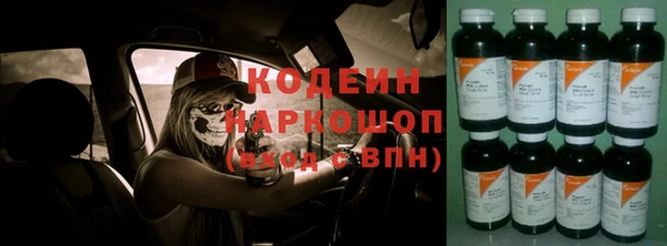 хмурый Алзамай
