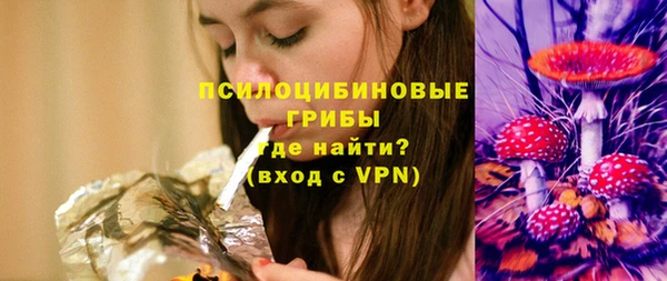 хмурый Алзамай