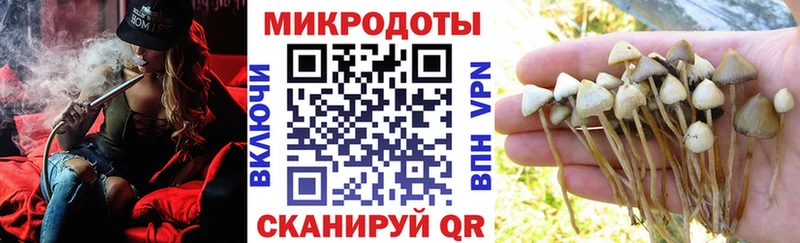 Галлюциногенные грибы Cubensis Ардон