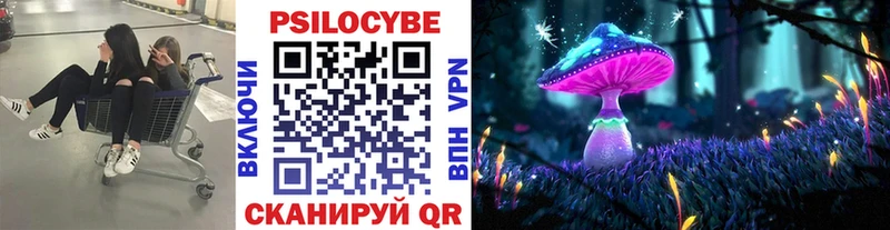Галлюциногенные грибы Psilocybe Ардон